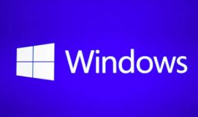 Windows 11 download torrent software